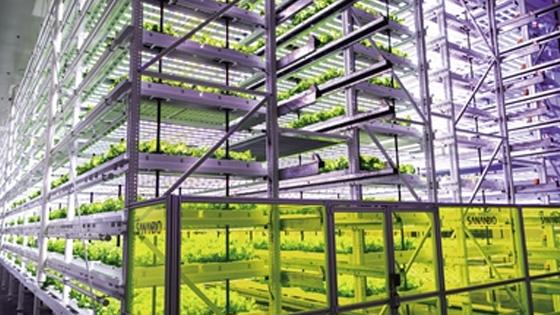 中國式現代化之路 生物技術開發服務的崛起與前景