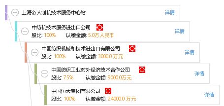 上海帝人制機技術(shù)服務(wù)中心站工商信息與信用報告解析